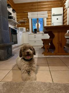 Kolilla oy, Purnutar A - 7