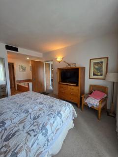 Villa King Suite w Private Balcony Oceanview - Dorado - 4