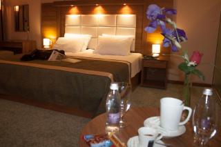 Agropolog Hotel & Spa - 8