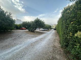 Rodon Hotel - La Canée - 3