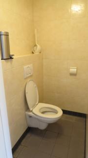 Hoeveheikant - Lage Mierde - 5