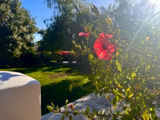 Villamontgovalls private pool and stunning views! - Jávea - 5