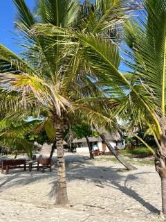 Golden Sun and Sand Studio Apartments - Diani Beach - 8