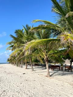 Golden Sun and Sand Studio Apartments - Diani Beach - 4