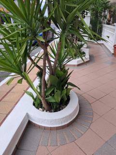Villa Alexander - Paralia Katerinis - 9
