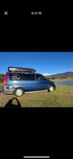 AllyouneedVan - Steinway - 2