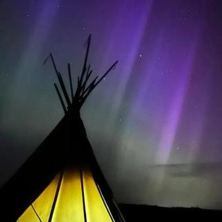 Best Tipi in Morayshire with Whisky Barrel Hot Tub - Coltfield - 0