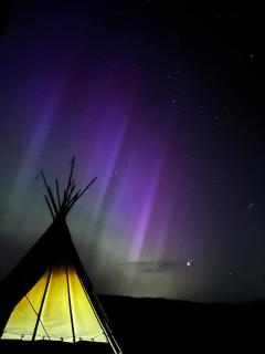 Best Tipi in Morayshire with Whisky Barrel Hot Tub - Coltfield - 5