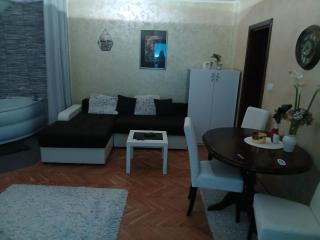 MilicaNS2 - Novi Sad - 3