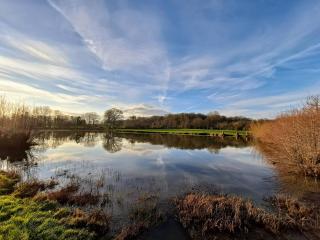 Pause zen dans le Perche Nature & calme - - 4