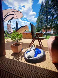 Inn Green, kuća 3 zvjezdice - 1