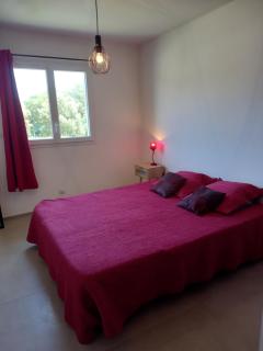 Casa di l Alivetu - Ventiseri - 2