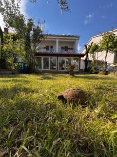 Casa Della Tartaruga - Valbandon - 9