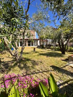 Casa Della Tartaruga - Valbandon - 4