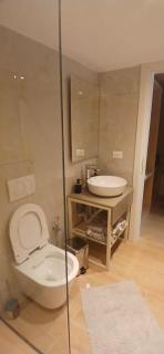 Albana's Duplex Golem - 1