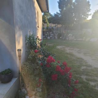 Casa di l Alivetu - Ventiseri - 8
