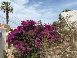 A l'ombre du platane - 3