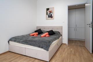 Big City Apartment - Praga - 6