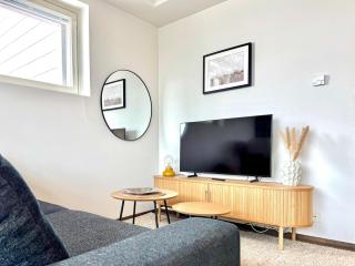 Penthouse with private sauna, large balcony, AC - 9