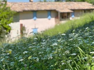 LeCannelleAgriBenessere - - 0