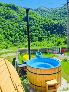 Woodlandia Resort Borjomi - Borjomi - 6