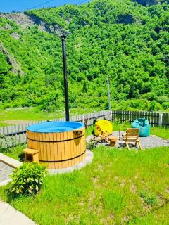 Woodlandia Resort Borjomi - Borjomi - 7