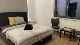 Black House with Jacuzzi - Osijek - 4