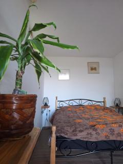 Sunny Karla apartment Dramlje - Dramlje - 3