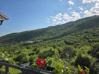 Apartman Elani - Martina - 4