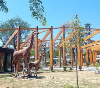 Orsea's appartment 2 - Selita e Vogël - 0