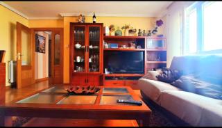 Garnacha Tinta VT-LR-2179 - 7