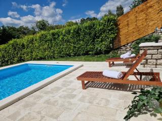 Villa Otto - Private Pool & Garden - Zagabria - 1
