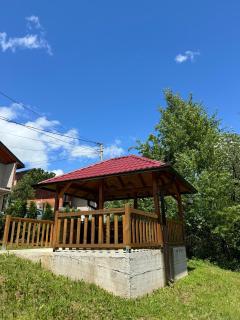 The View Villa - Hadžići - 2
