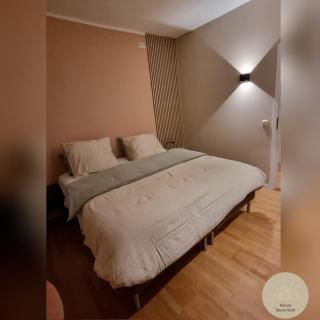 Aurora Sauna Suite - Haren - 4