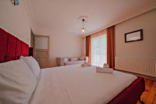 Muhafazakar,havuzlu,müstakil bahçeli Villa 12-16 Kişilik - Sakarya - 2