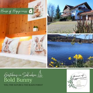 House of Happiness by apartmentglück - Schluchsee - 8