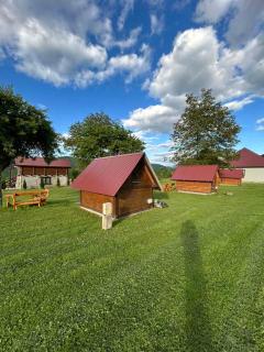 Camp &Apartmens Scepanovic - Mojkovac - 8