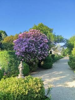 Quinta da Maínha - Charming Houses - Escape to Nature - Braga - 1
