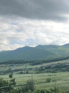 House Lin - Polisi i Vogël - 0