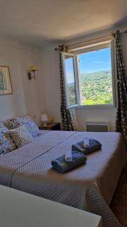Le Jardin des Oliviers - Apt - 9