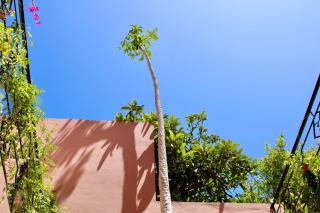 Seaside 2 Bedrooms Villa - IMI OUADDAR - Agadir - 2