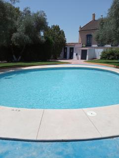 BRISAS VIP Tesoro - Valencina de la Concepción - 9