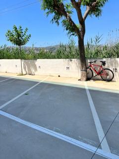 Apartamento NEPTUNO PLAYA - Peniscola - 5