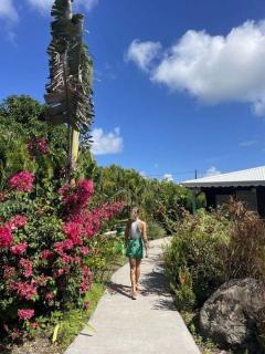 Chute du carbet Gîte Bain privée et piscine commune - 7