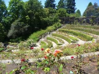 Amazing, Sunny, and Spacious! Steps to Campus! - Berkeley - 9