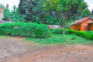 Gorilla Land Guest House - Kisoro - 6