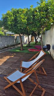 Papoila - Grândola - 9