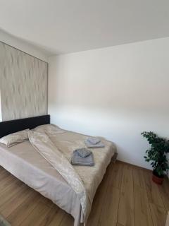 S&M apartman FREE PARKING - Vranje - 2