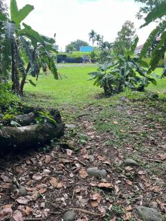 Casa Grande Pura Vida - Fortuna - 5