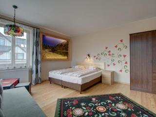 Pokoje Zamoyskiego - WATRA - Zakopane - 1